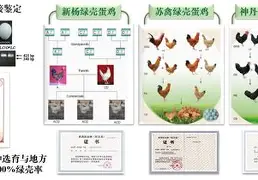 Faker沈阳启动赛后发声(Faker与Keria破纪录) Faker沈阳启动赛后发声(Faker与Keria破纪录)